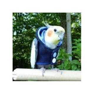 Bird Fashion | Cloths