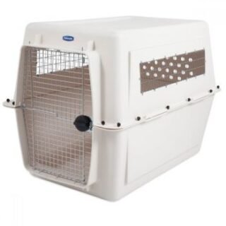 Dog – Carriers & Containment