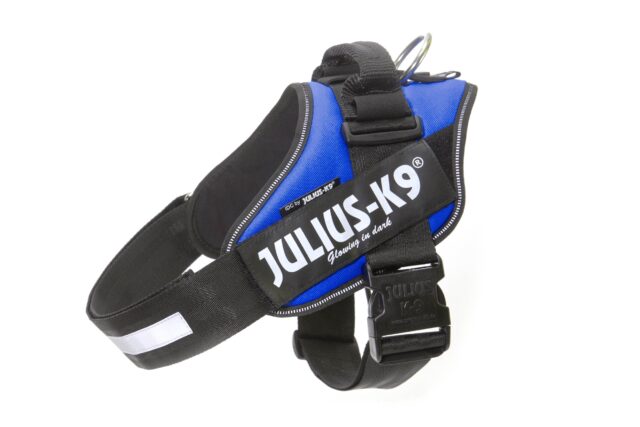 IDC Powerharness - Blue / Size 1 From  JULIUS-K9
