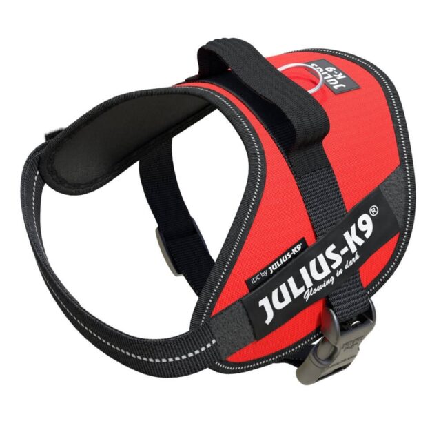 IDC Powerharness - Red / Size Mini From  JULIUS-K9