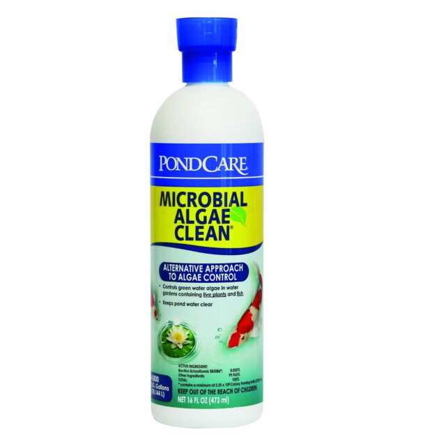 API Pond Microbial Algae Clean, 16 OZ From API