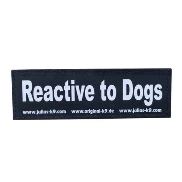 reactivetodogs