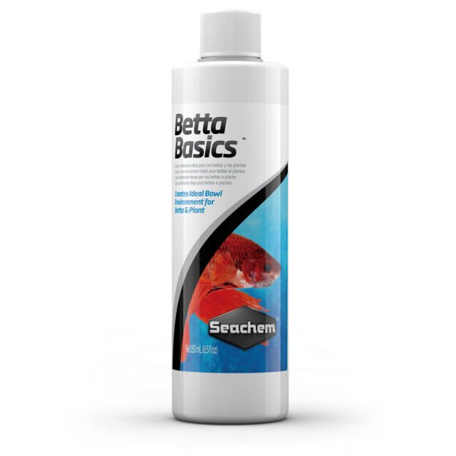 0426 betta basics