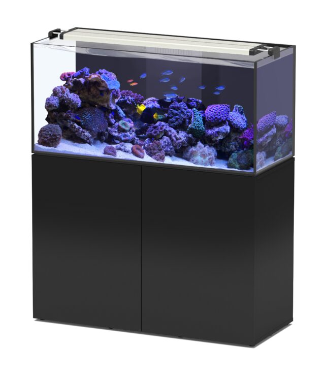 AQUAVIEW 120 AQUARIUM + CABINET 278L 2WD BLACK - 120x50x55cm From AQUATLANTIS