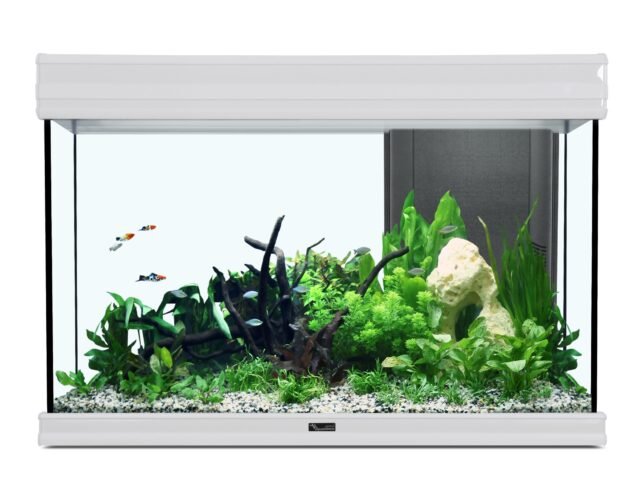 15155 fusion 80 aquarium 025