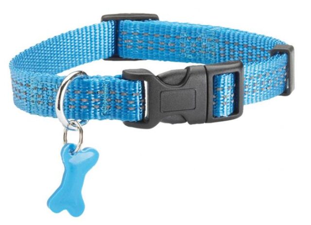 Safe Collar - Blue / L From BOBBY
