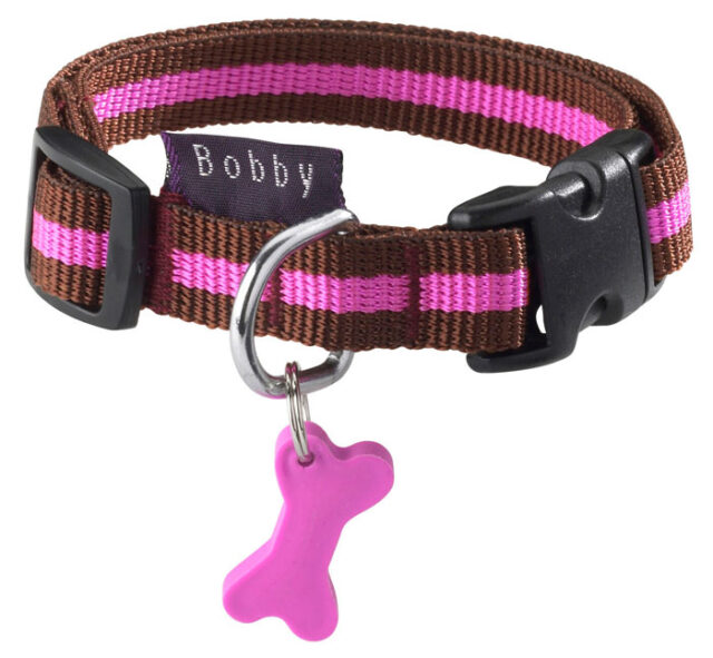 Arlequin Collar - Maroon / Medium From BOBBY