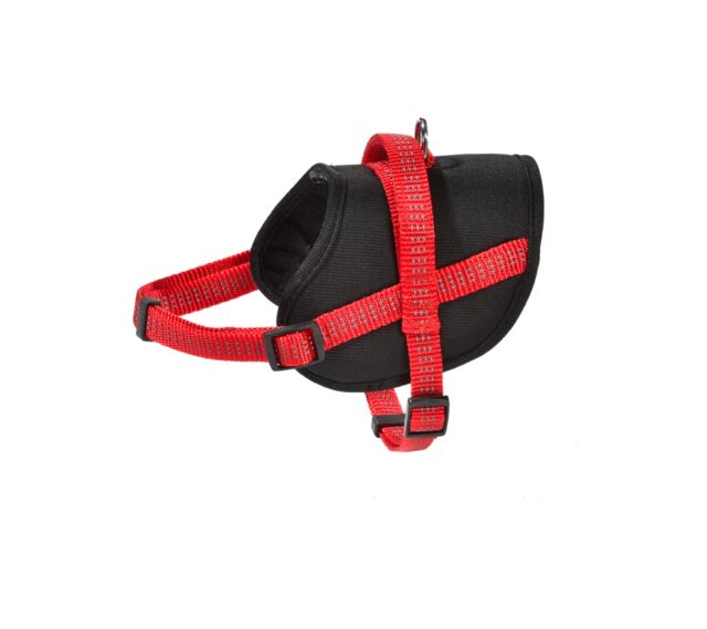 Easy Safe Harness - Red / S From BOBBY