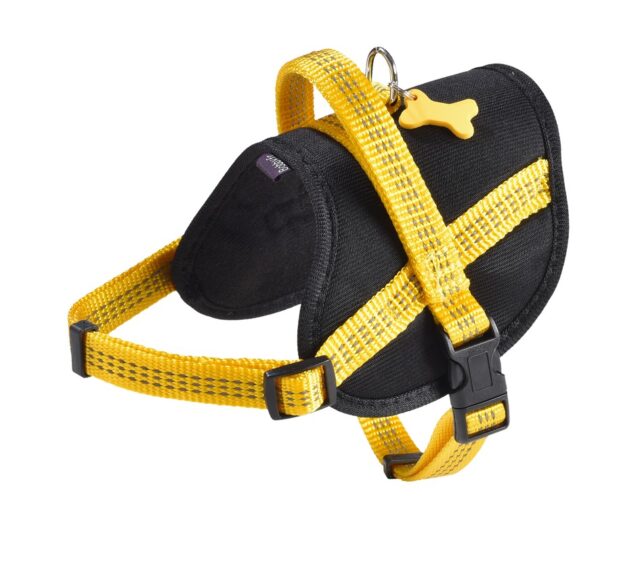 Easy Safe Harness - Yellow / XXS From BOBBY