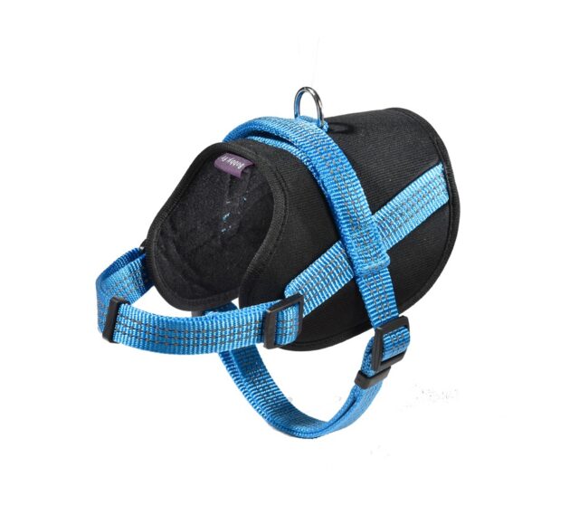 Easy Safe Harness - Blue / XXS From BOBBY