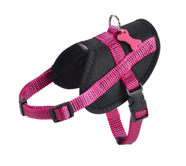 Easy Safe Harness - Fuschia / M From BOBBY