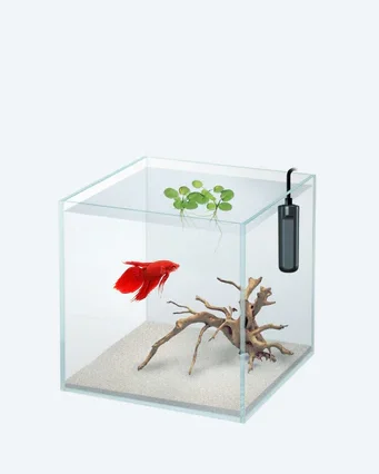 Nano Aquarium