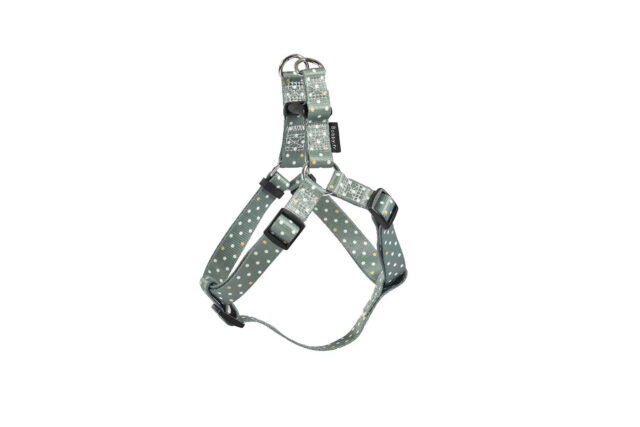 Pretty Boudrier Harness - Green / Large From BOBBY