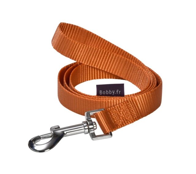 Access Leash - Orange / Small From BOBBY
