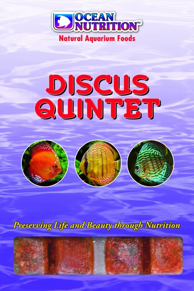 discus quintet