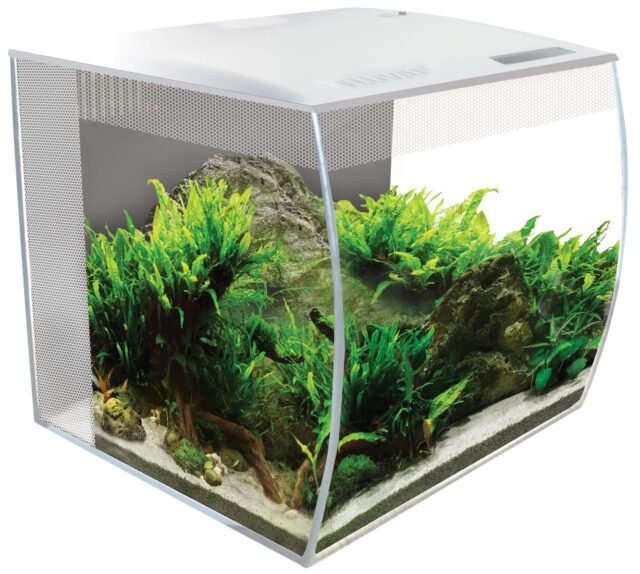 fluval 34 white