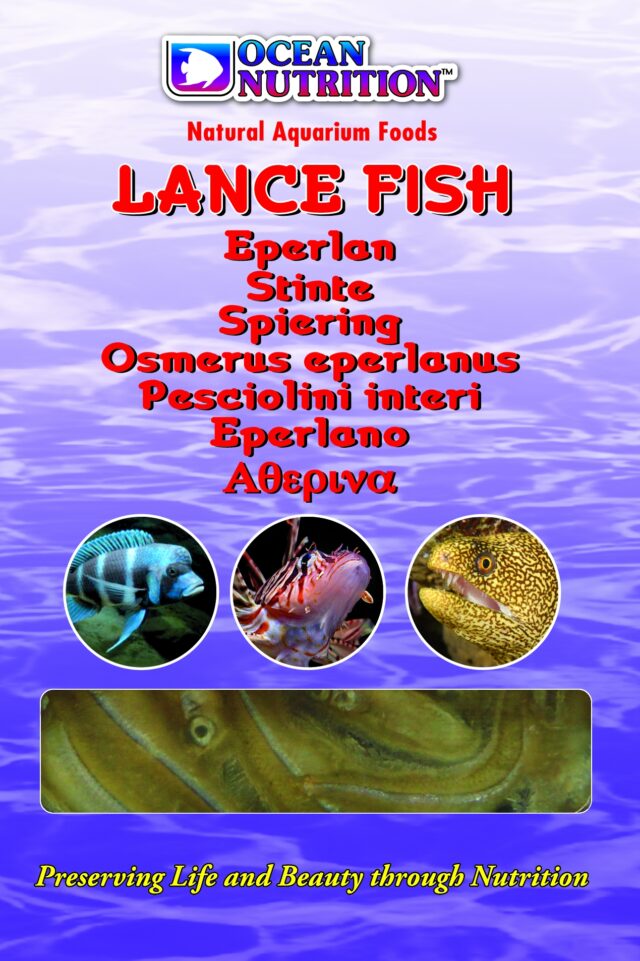 Lance Fish 100g From OCEAN NUTRITION