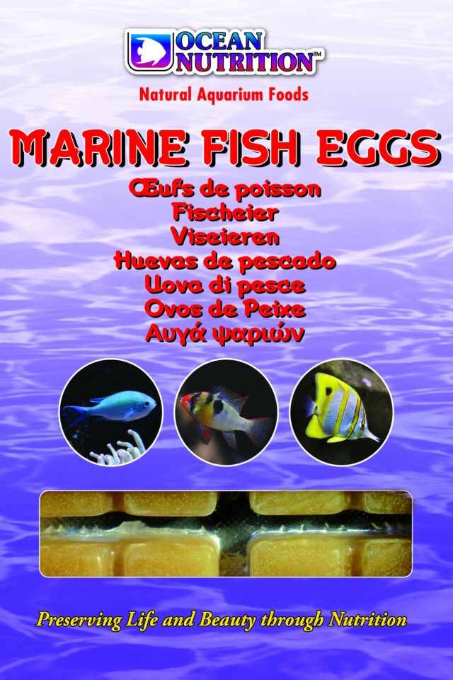 Marine Fish Eggs 100g From OCEAN NUTRITION