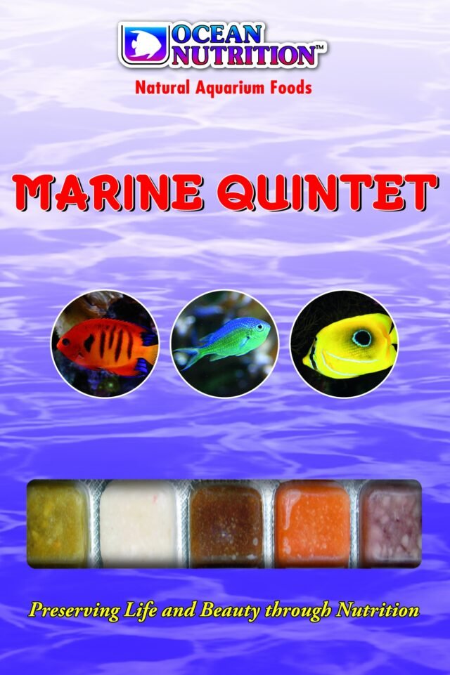 marine quintet