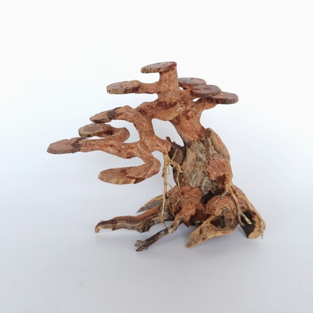 Copper Wood Tree - Small / 23x17x12cm / BOX From SV AQUARIUM DECO