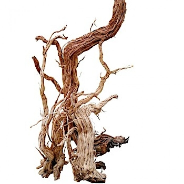 Photinia Wood - Medium / 25-30CM / box From SV AQUARIUM DECO