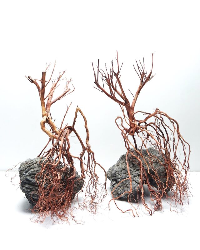 Long Hands Wood - Medium / 30-45CM / box From SV AQUARIUM DECO
