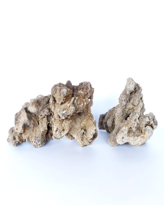 Red Wood Fossil - Small / 12-18CM / box From SV AQUARIUM DECO