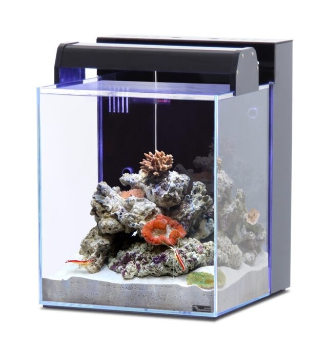 new nano marin 40 aquarium 001