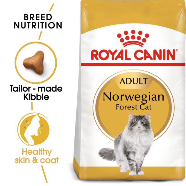 Feline Breed Nutrition Norwegian Forest Cat Adult 2 KG From  ROYAL CANIN