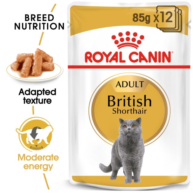 Feline Breed Nutrition British Shorthair (WET FOOD - Pouches) From  ROYAL CANIN