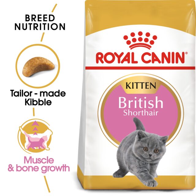 Feline Breed Nutrition British Shorthair Kitten 2 KG From  ROYAL CANIN