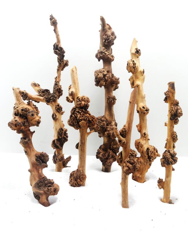 Sava Wood - Small / 20-30CM / box From SV AQUARIUM DECO