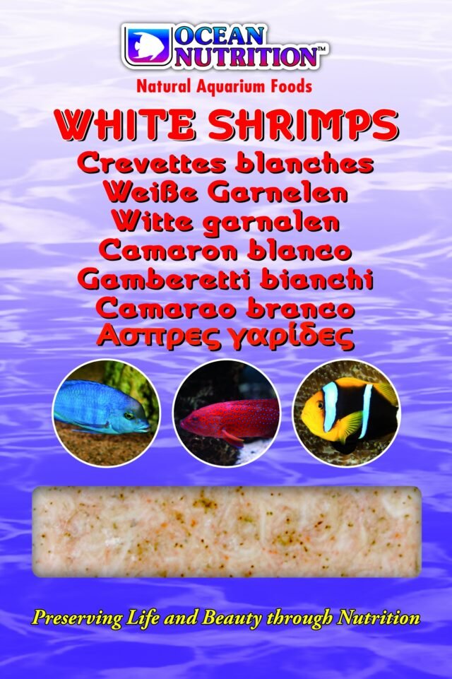 white shrimps