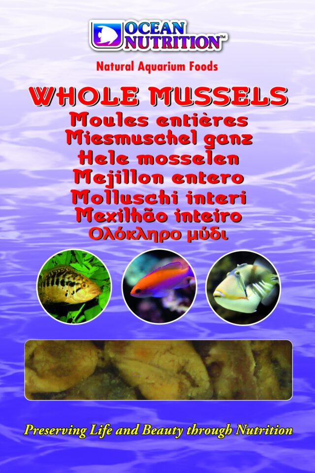 Mussel Whole 100g From OCEAN NUTRITION