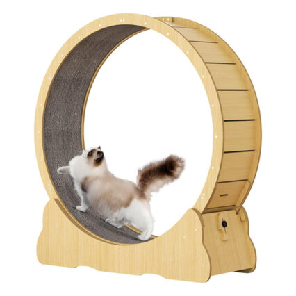 Cat Exercise Wheel Durable Wheel for Cats, Promotes Physical Activity and Reduces Boredom, Easy to Clean, Suitable for All Sizes