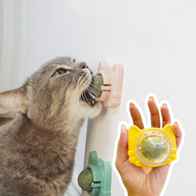 Catnip for Oral Health Wall Ball Stick-on Design Teeth Grinding Freshens Breath Cartoon Style Cat Toy - Image 3