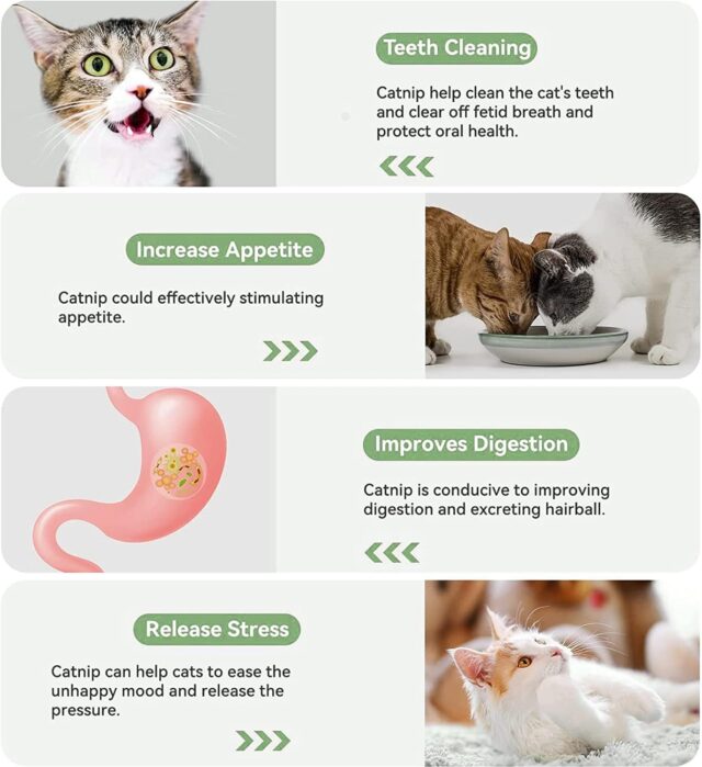 Catnip Ball Cat Paw Shape Snack Ball Rotating Cat Edible Ball Fixed Nutrition Candy Ball Edible Snack Toy for Cats Dental Care - Image 3