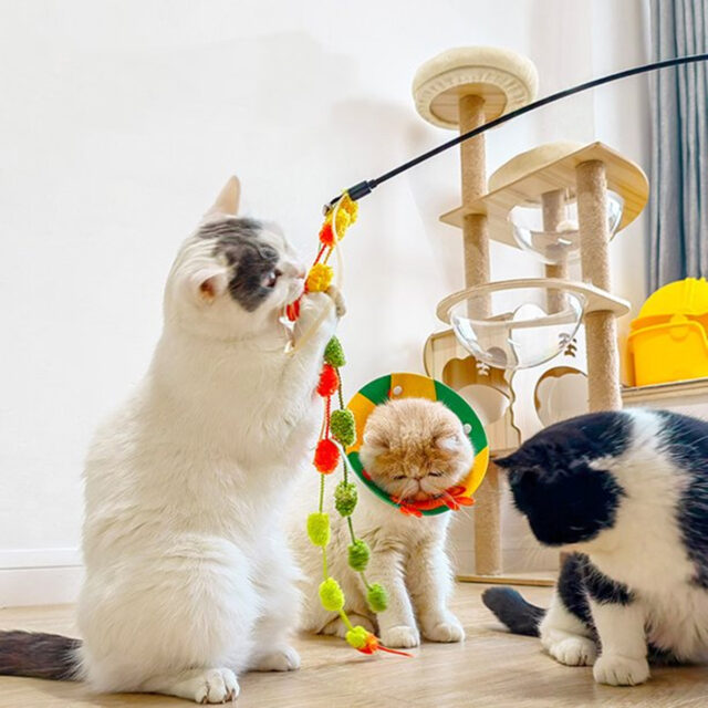 Plush Ball Cat Teaser Wand Toy for Cats - Image 2