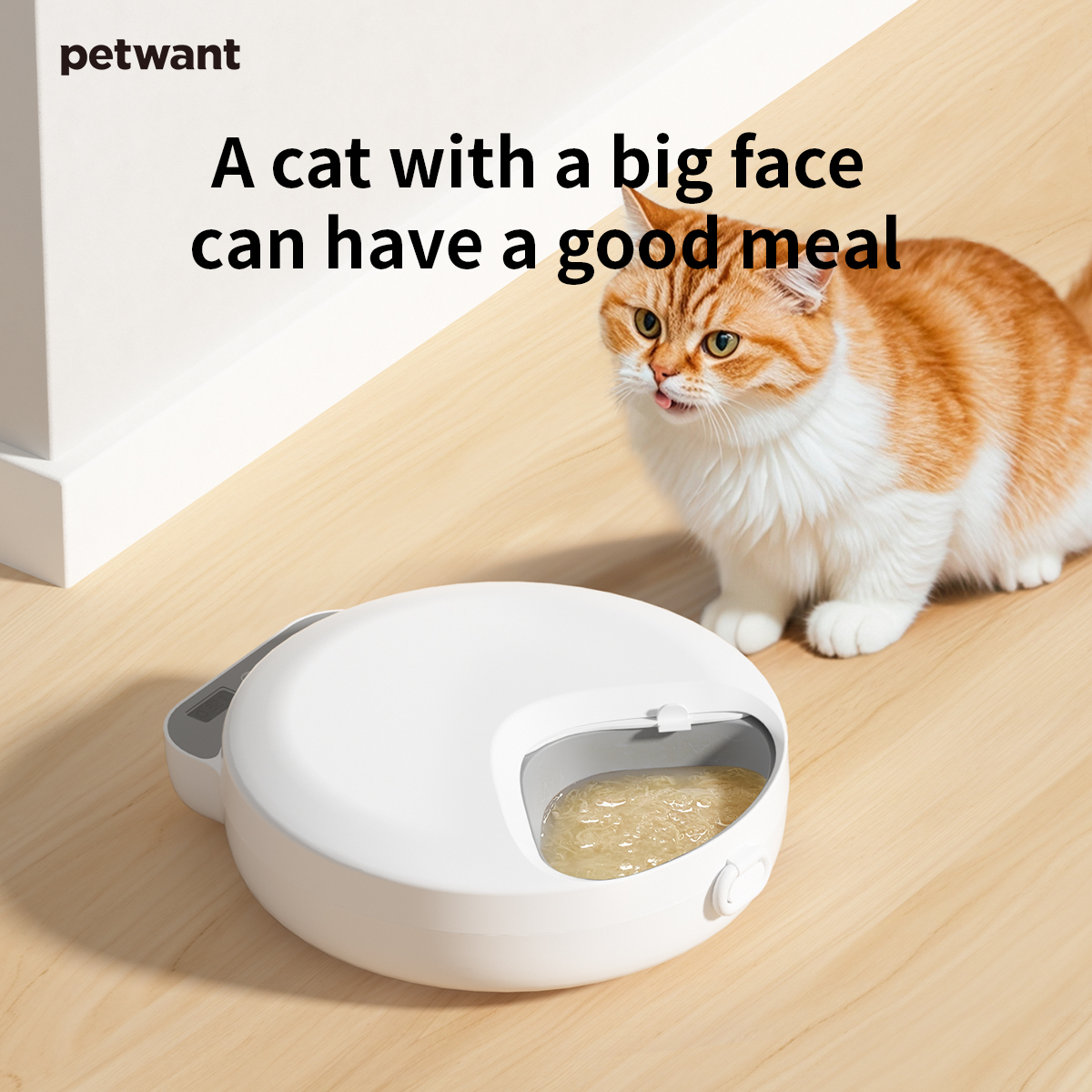 New Series Automatic Pet Cat Bowls Feeders 4 Meals Cordless Auto Small Animal Food Dispenser with Two Ice Packs 4 New Series Automatic Pet Cat Bowls Feeders 4 Meals Cordless Auto Small Animal Food Dispenser with Two Ice Packs - Image 4